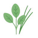 Aromatiques perpétuelles